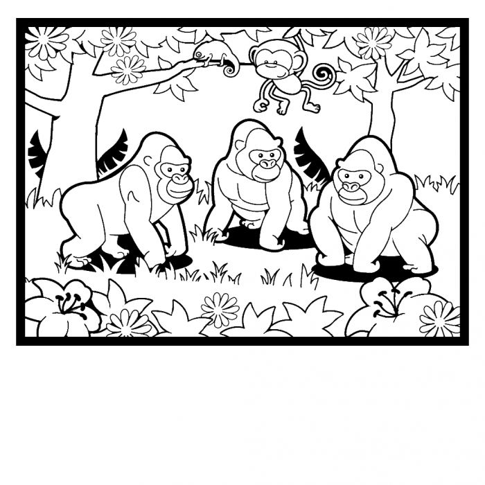 Plansa de colorat cu Gorilla 24 17